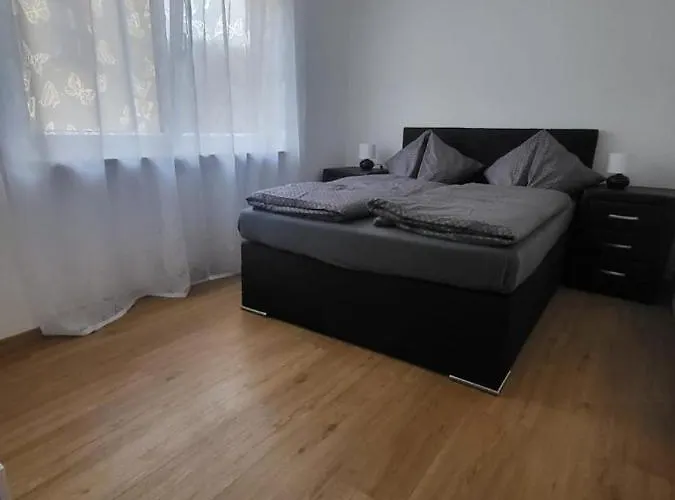 Baicu Zell Am Apartment Zell am See